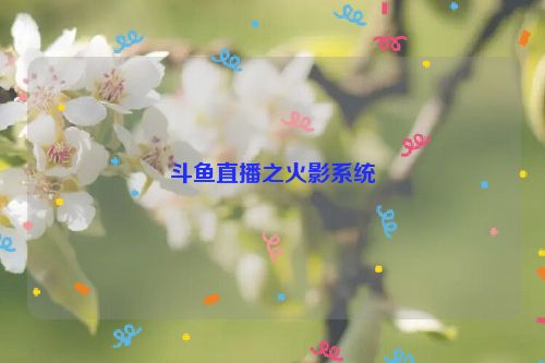 斗鱼直播之火影系统
