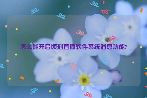 怎么能开启顷刻直播软件系统消息功能?