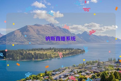 钠斯直播系统
