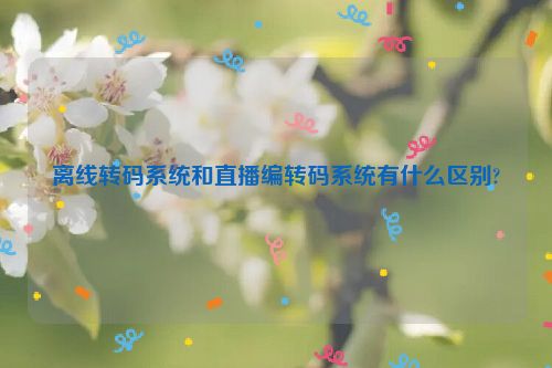 离线转码系统和直播编转码系统有什么区别?
