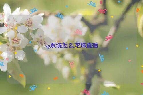 xp系统怎么龙珠直播