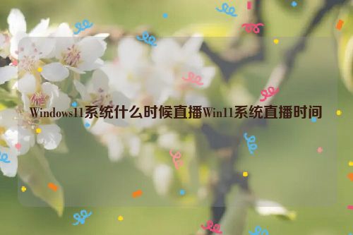 Windows11系统什么时候直播Win11系统直播时间