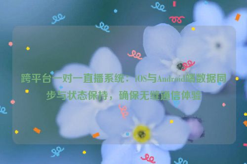 跨平台一对一直播系统:iOS与Android端数据同步与状态保持,确保无缝通信体验