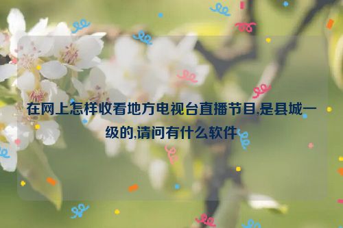 在网上怎样收看地方电视台直播节目,是县城一级的,请问有什么软件
