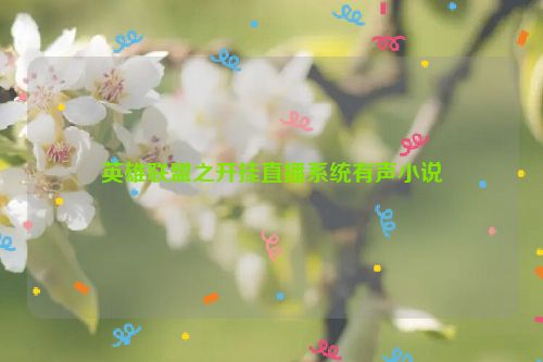 英雄联盟之开挂直播系统有声小说