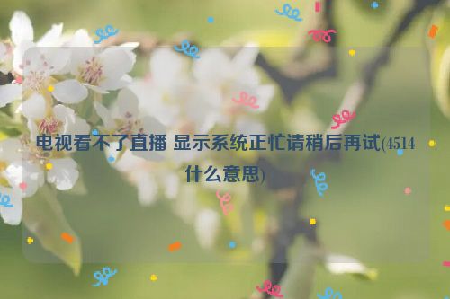 电视看不了直播 显示系统正忙请稍后再试(4514什么意思)
