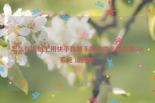 怎么在电脑上用快手直播手机游戏王者荣耀!iOS系统 没越狱!