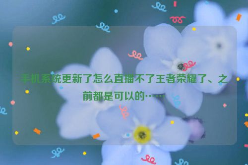 手机系统更新了怎么直播不了王者荣耀了、之前都是可以的……